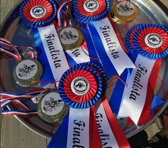 Bandeja con escarapelas y medallas de finalista