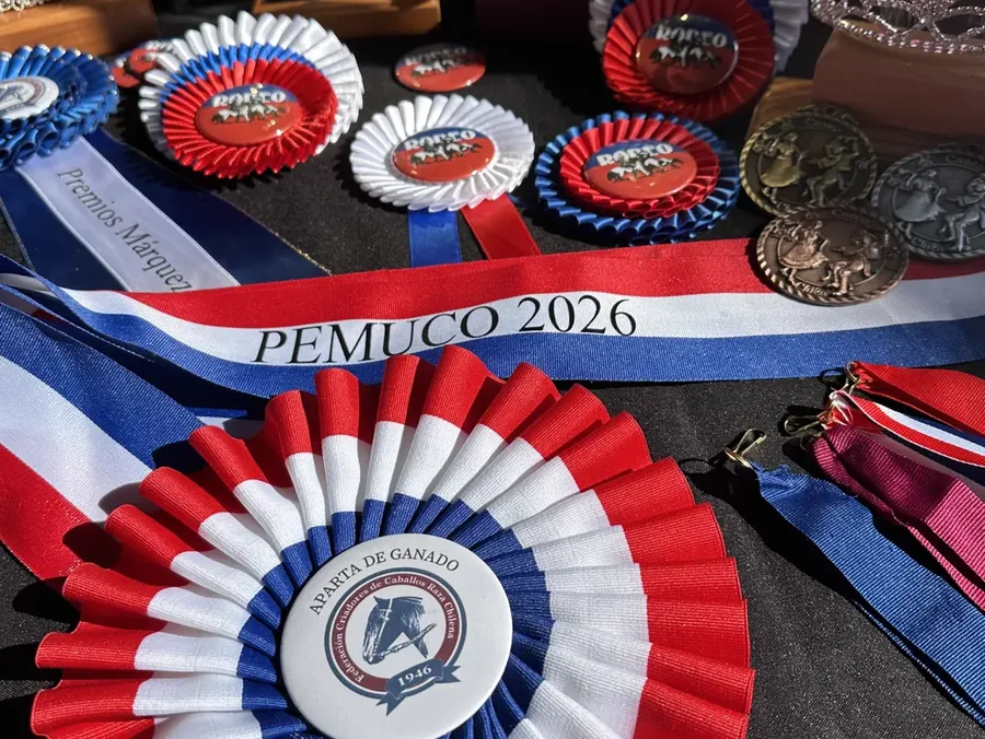 Escarapelas tricolores hechas a mano para rodeo y fiestas patrias