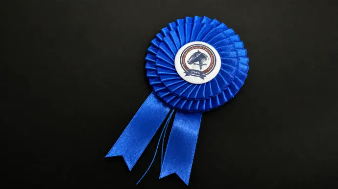 escarapela doble bordado especial para premiar a los campeones de categoria 