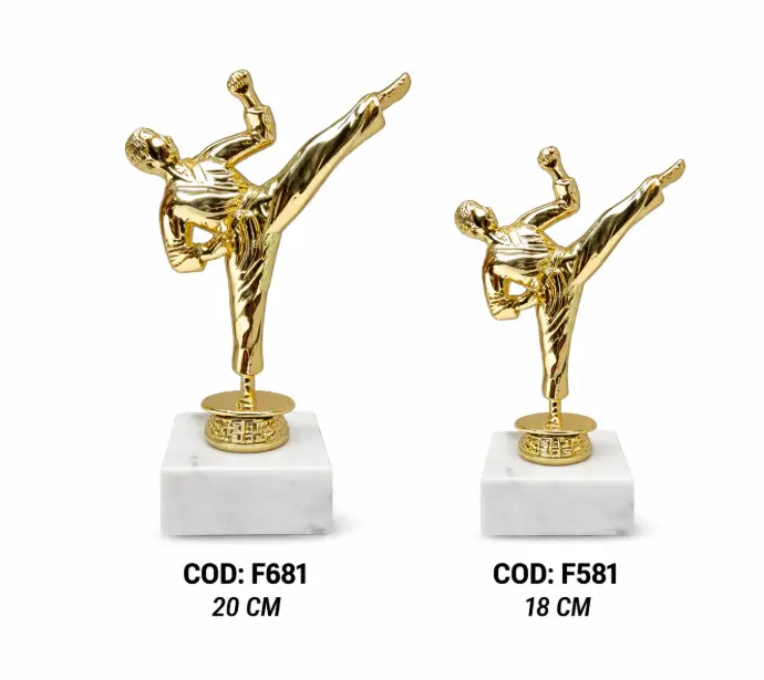 TROFEO KARATE 