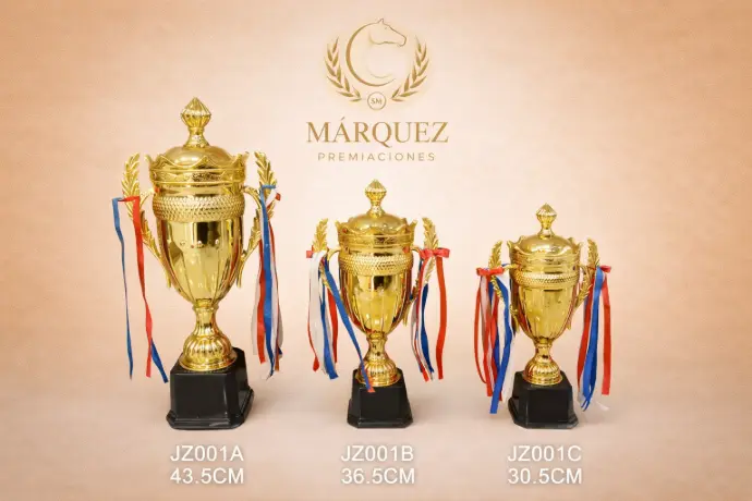 ariedad de copas doradas de diferentes tamaños para premiación deportiva - Premios Márquez".